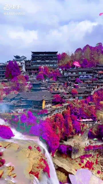 城市驾照和农村驾照的区别？游戏画面