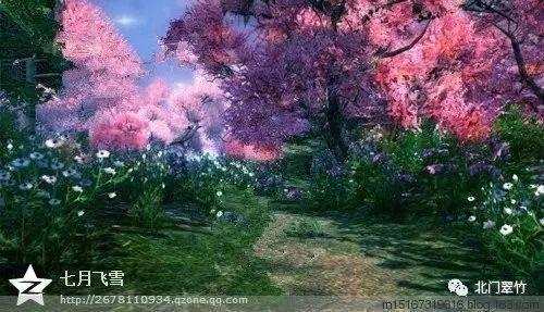 蓝色怪物救援