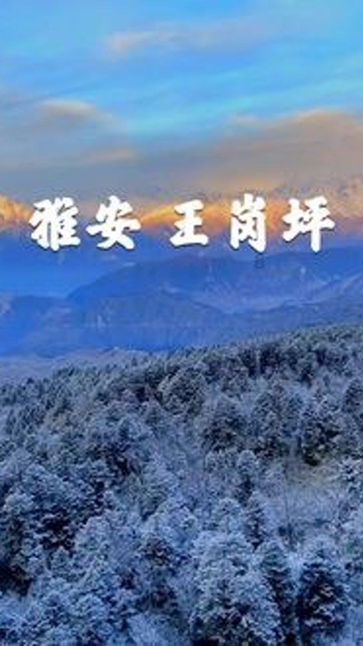 依维柯卡车拼拼看
