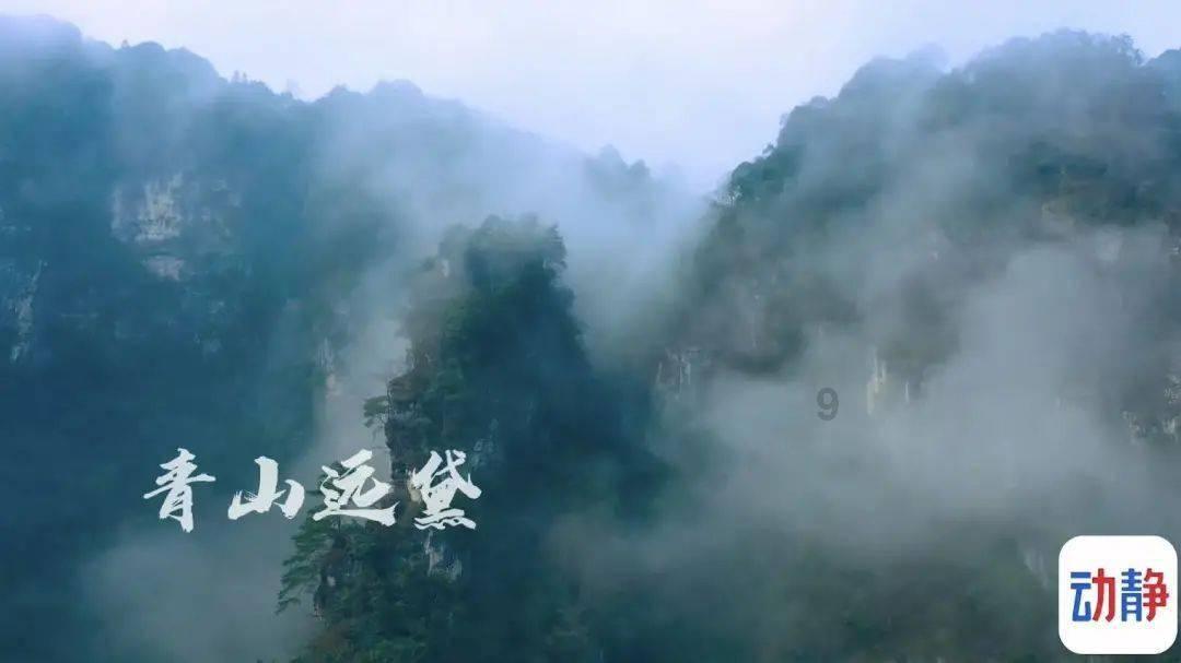 组装机械机甲暴龙2