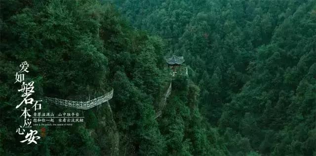 小艾比当海军