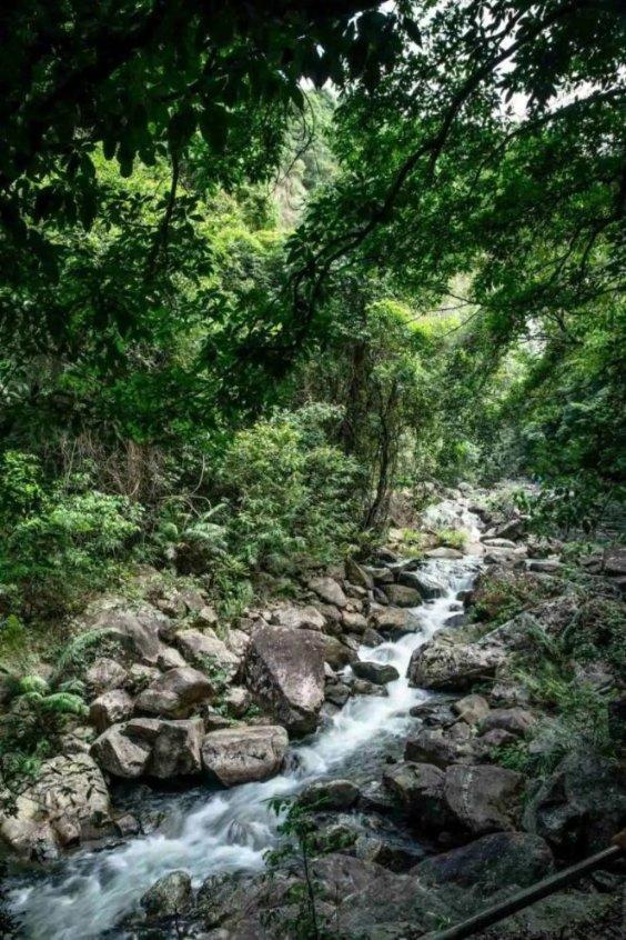 推动人居环境“整形塑魂” 建设宜居宜业和美乡村
