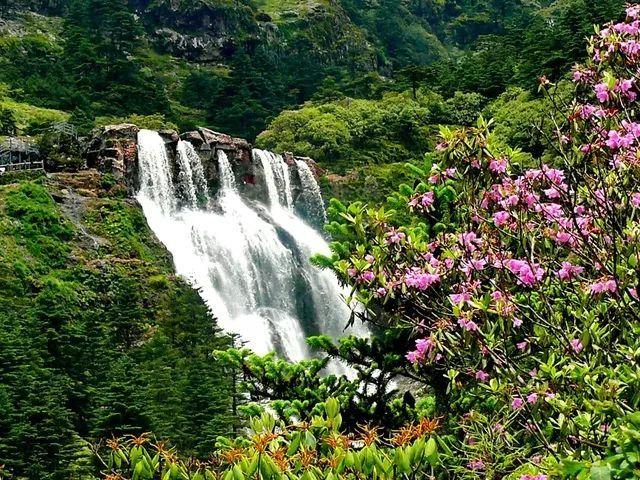 天生丰满迷人，23岁走红，神似梅艳芳，47岁风情难挡却怎还无子呢?游戏画面