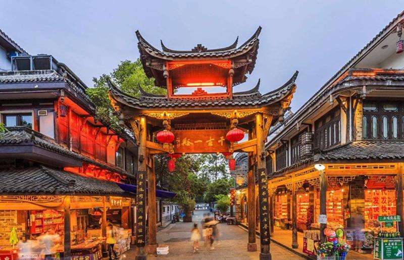 寻找火鸡