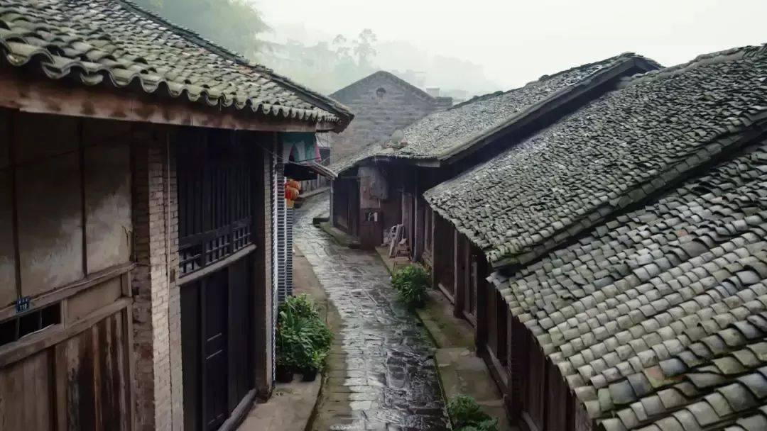 正式更名“大学”!浙江两所高校揭牌