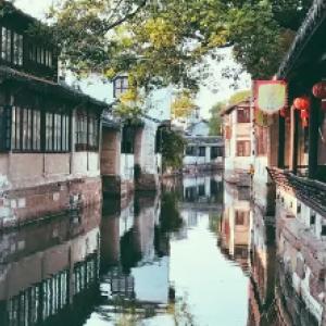 撒冷滴赶紧来！龙江“老铁”请“小金豆”全场免费吃
